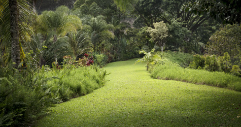 How Long Were Adam and Eve in the Garden Before Sinning?