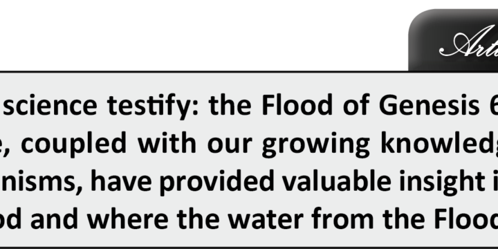 Was the Flood Global? Testimony from Scripture and Science